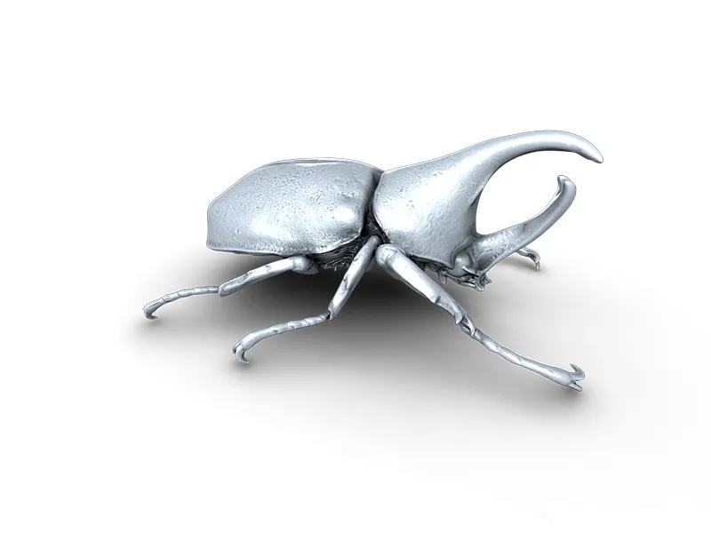 Rhino Beetle